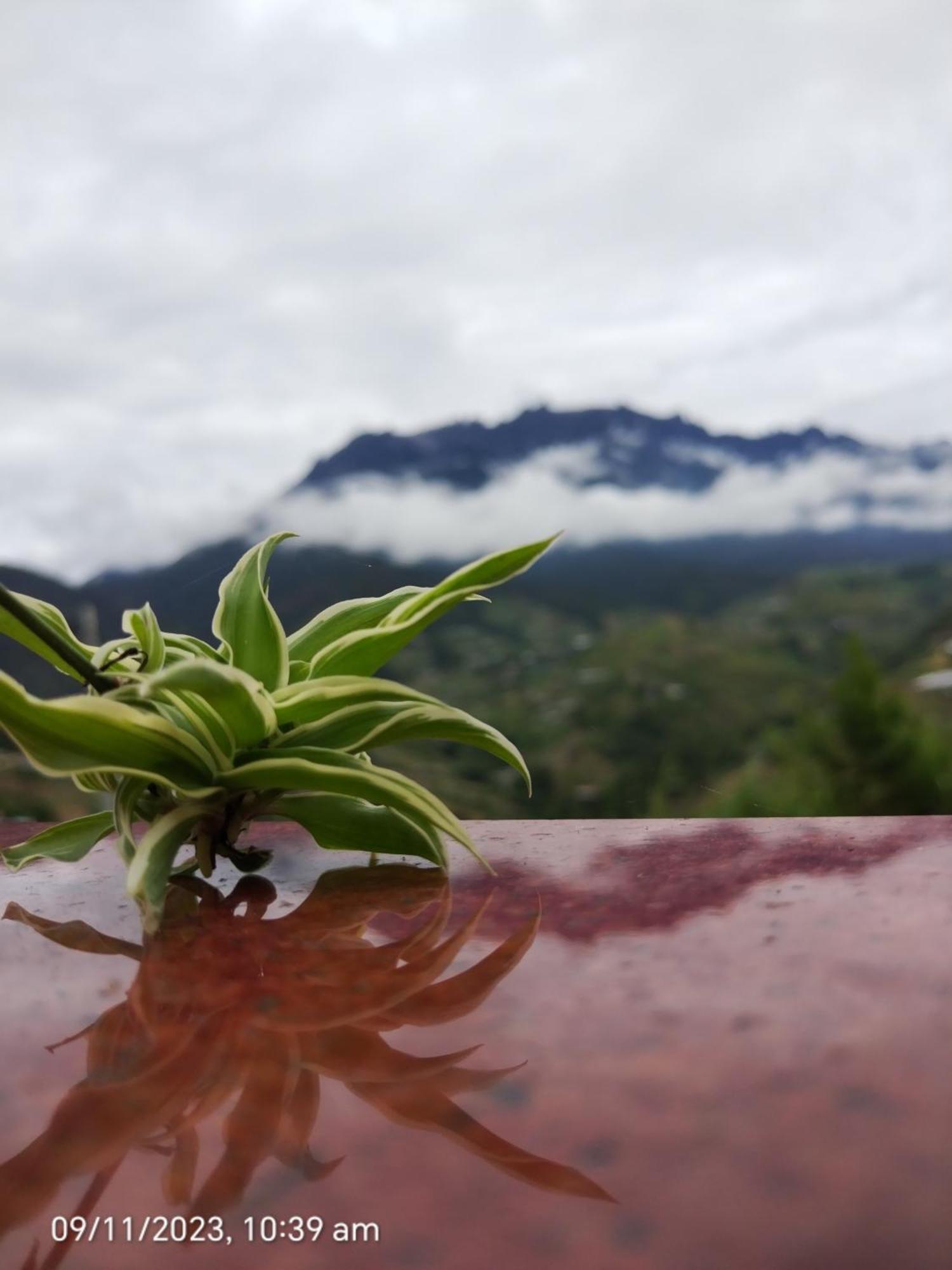 Highland Homestay Kundasang Ranau Ngoại thất bức ảnh
